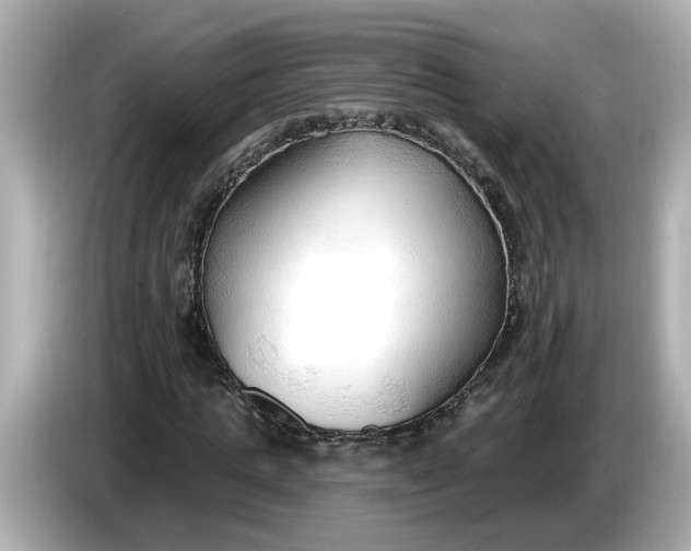 X0000086000821200704091036