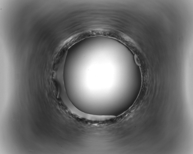 X0000086000822200704091036