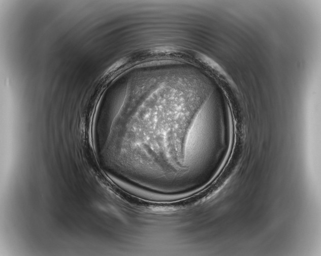 X0000086000825200704091036