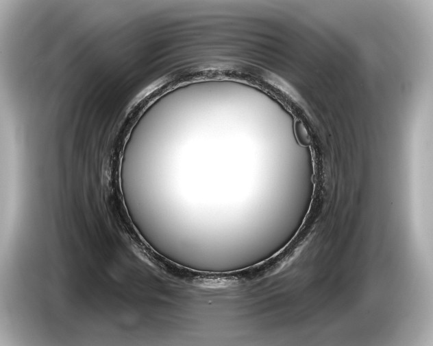 X0000086000826200704091036