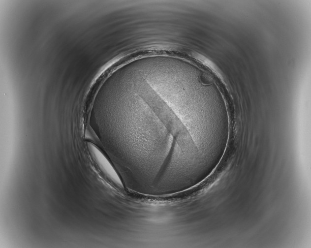 X0000086000829200704091036