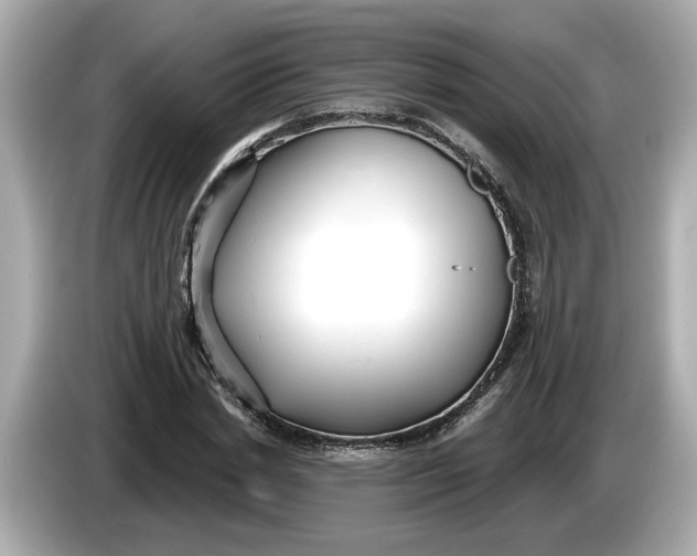 X0000086000830200704091036