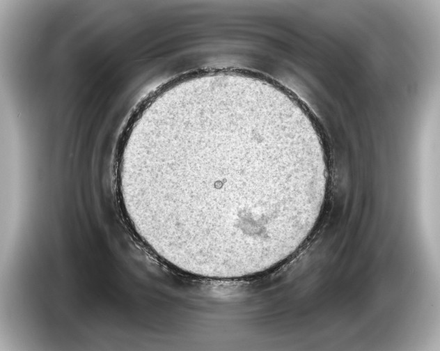 X0000086000832200704091036