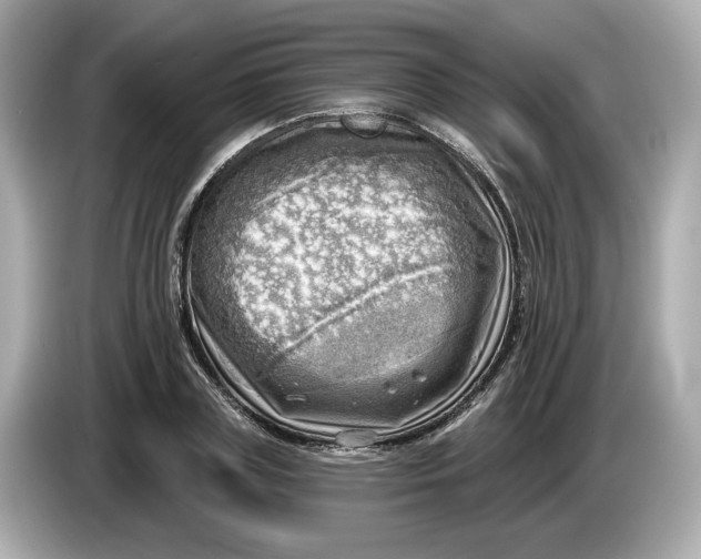 X0000086000835200704091036