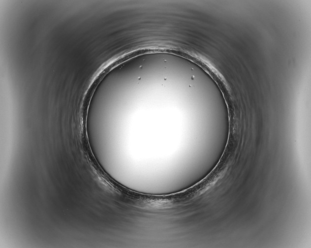 X0000086000837200704091036