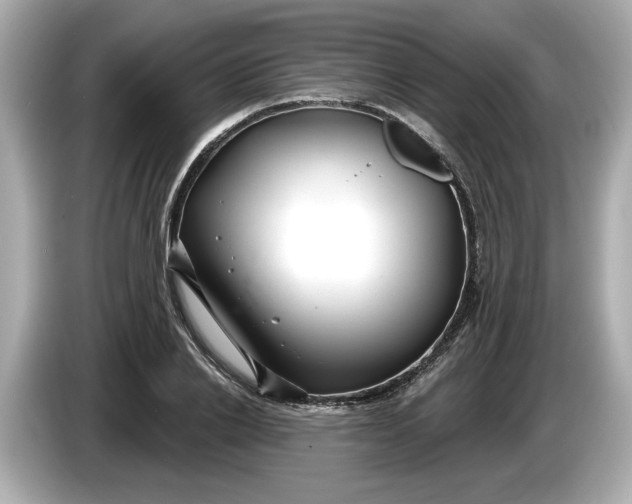 X0000086000838200704091036