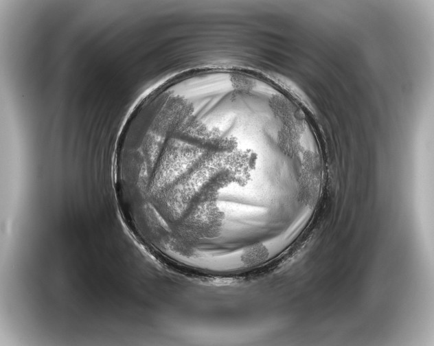 X0000086000839200704091036