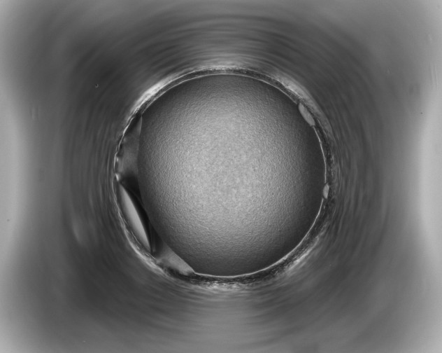 X0000086000842200704091036