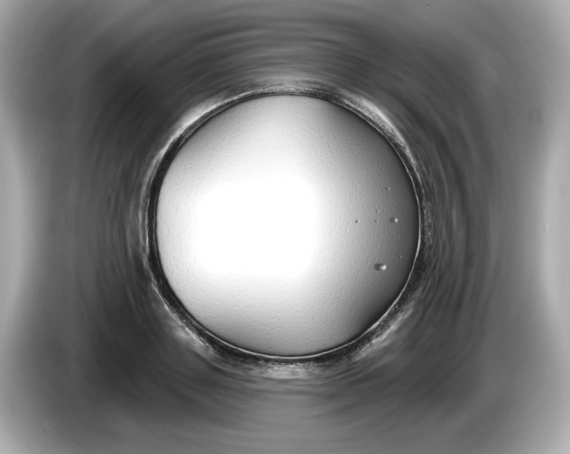 X0000086000843200704091036