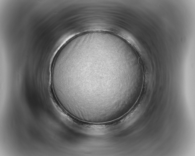 X0000086000844200704091036