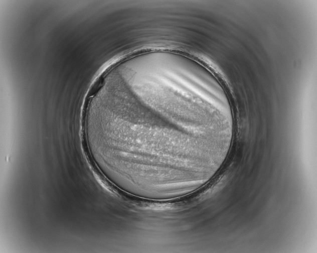 X0000086000845200704091036