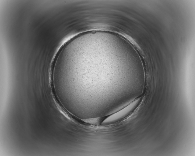 X0000086000846200704091036