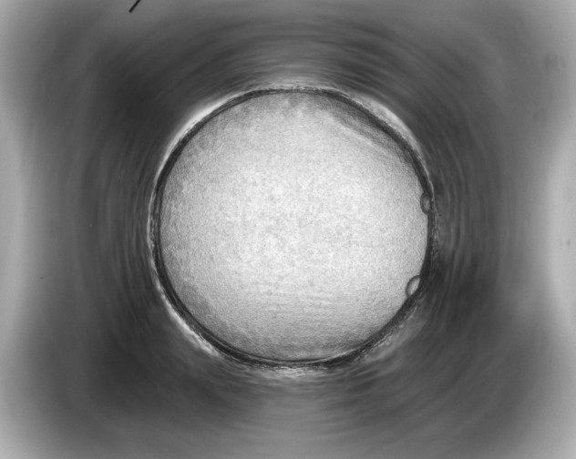 X0000086000847200704091036