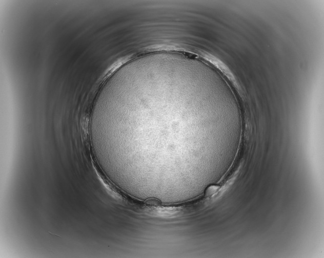 X0000086000849200704091036