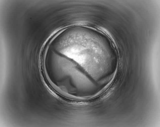 X0000086000851200704091036