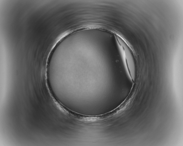 X0000086000853200704091036