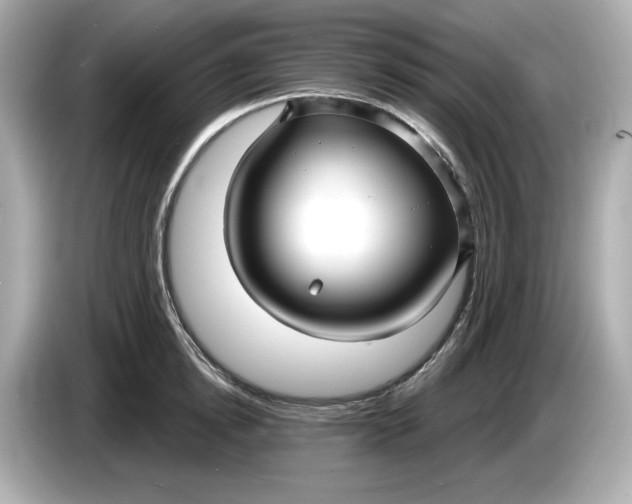 X0000086000854200704091036