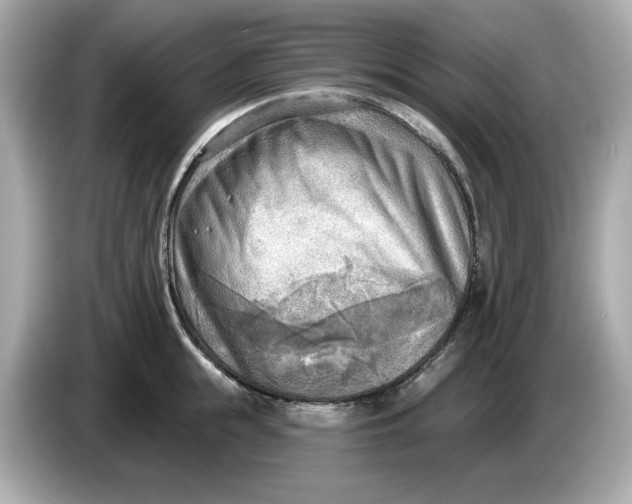 X0000086000855200704091036