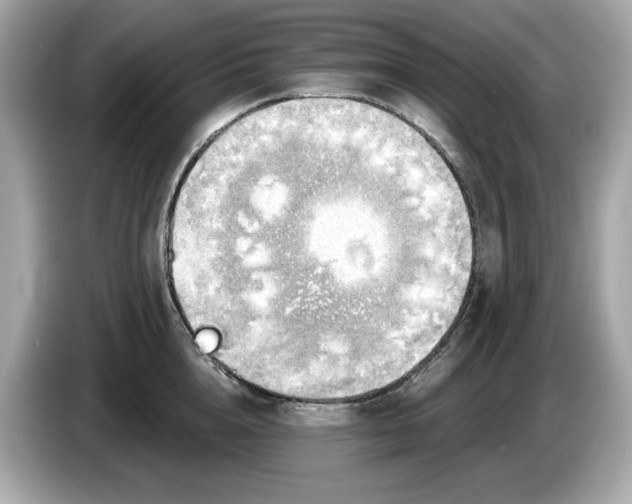 X0000086000856200704091036