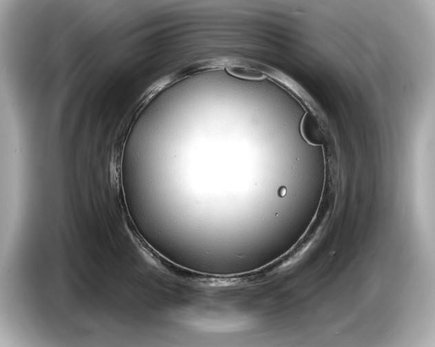 X0000086000857200704091036