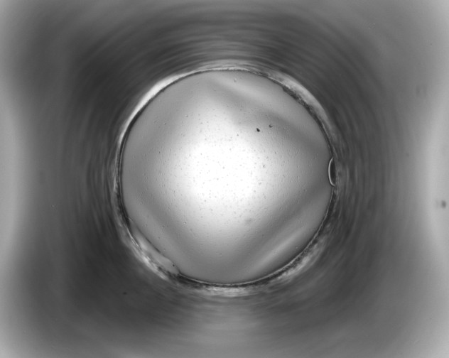 X0000086000860200704091036