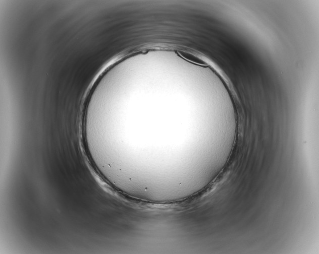 X0000086000861200704091036