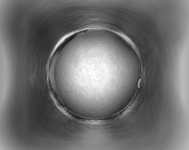 X0000086000862200704091036