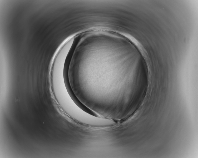 X0000086000864200704091036