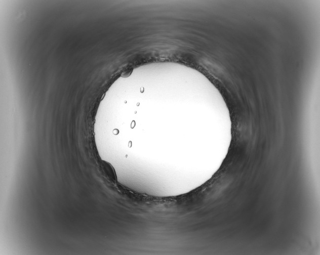 X0000086000865200704091036