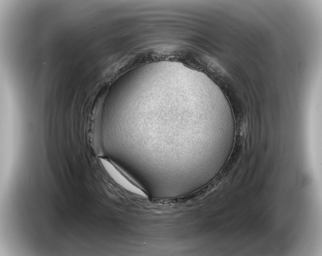 X0000086000868200704091036