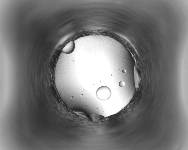 X0000086000871200704091035