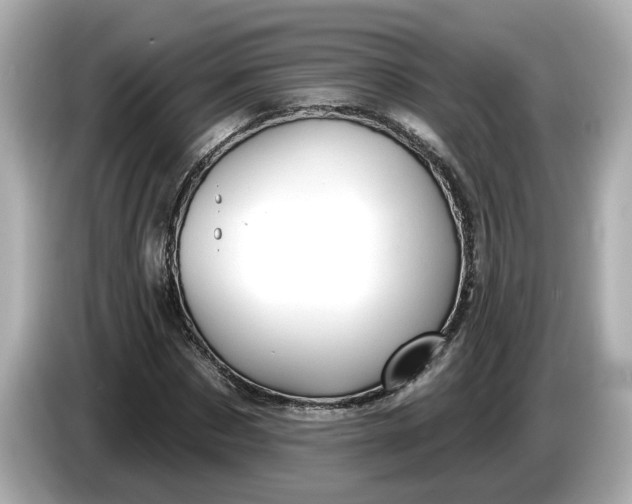 X0000086000873200704091035