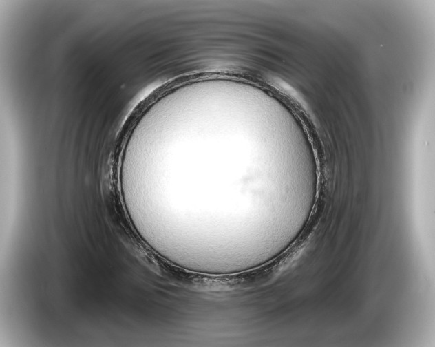 X0000086000875200704091035