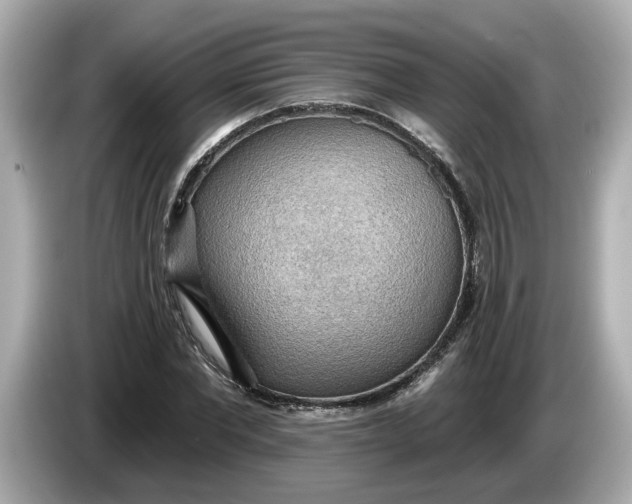 X0000086000877200704091035