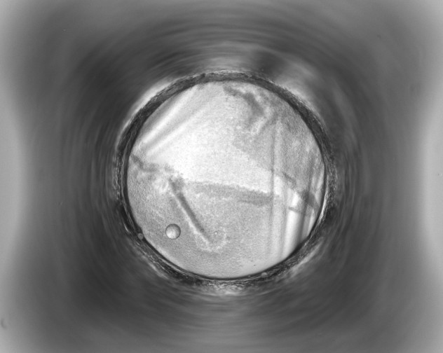 X0000086000878200704091035