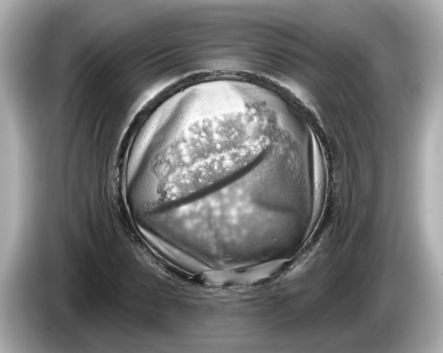 X0000086000879200704091035