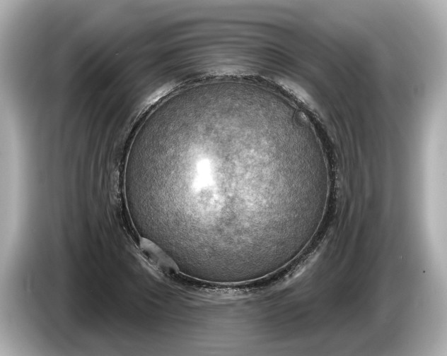 X0000086000881200704091035