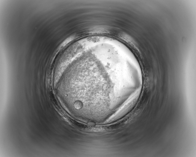 X0000086000882200704091035