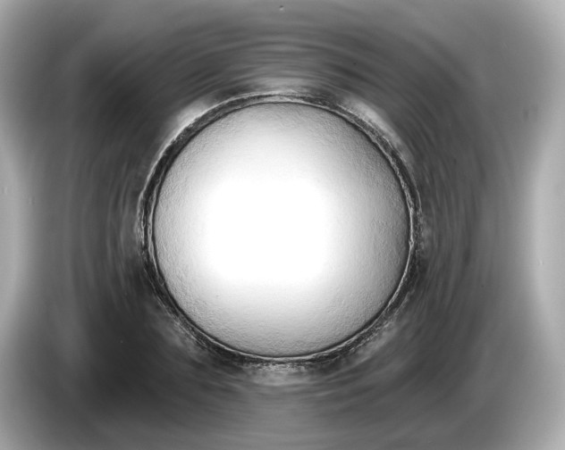 X0000086000883200704091035