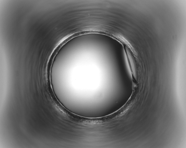 X0000086000884200704091035