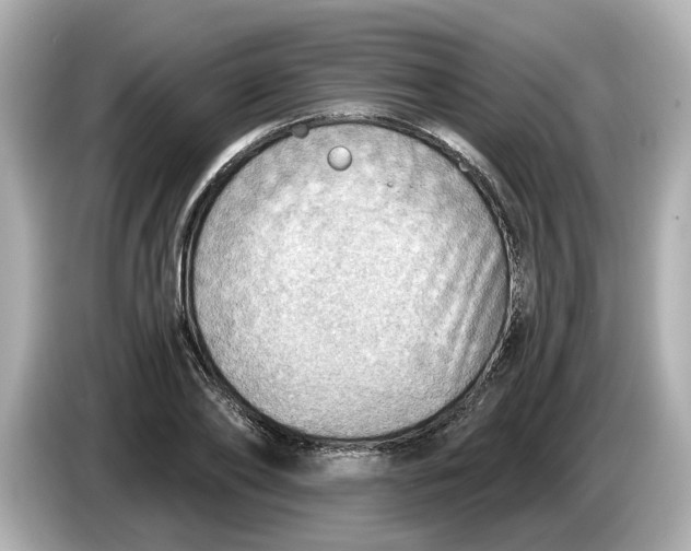 X0000086000886200704091035