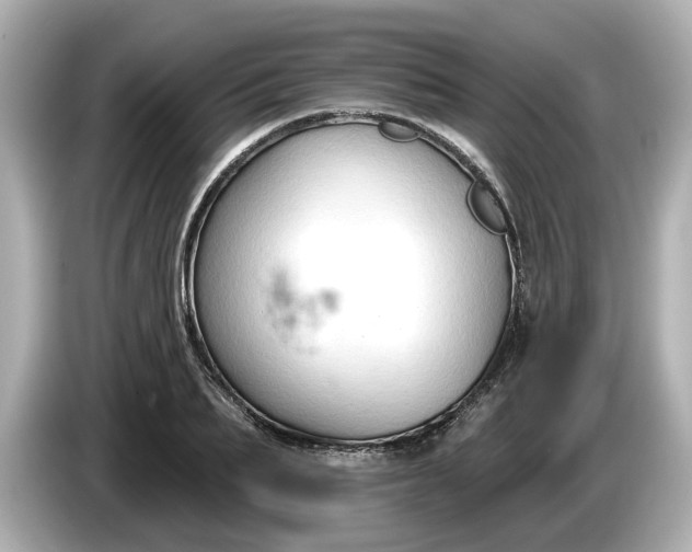 X0000086000887200704091035