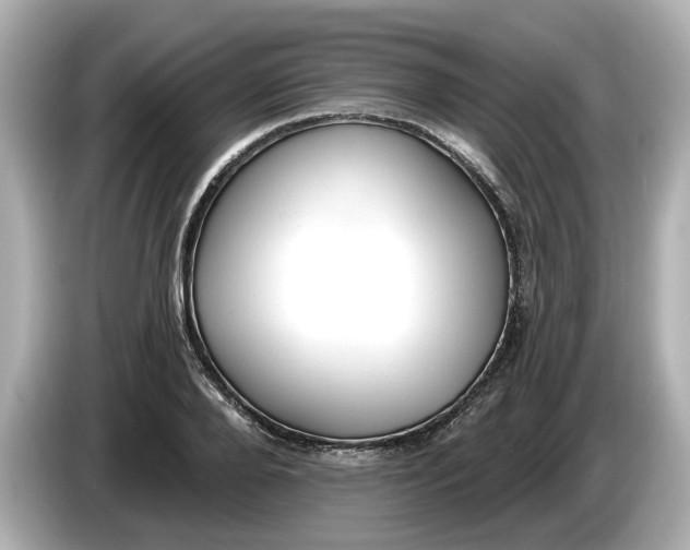 X0000086000888200704091035