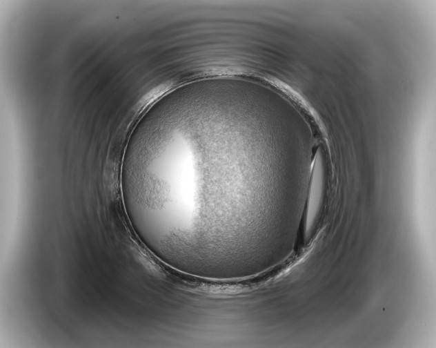 X0000086000889200704091035