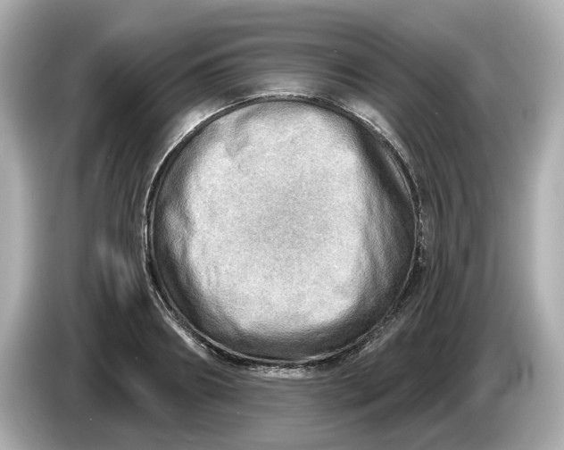 X0000086000890200704091035