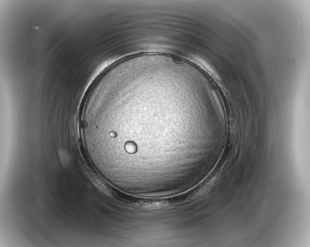 X0000086000891200704091035