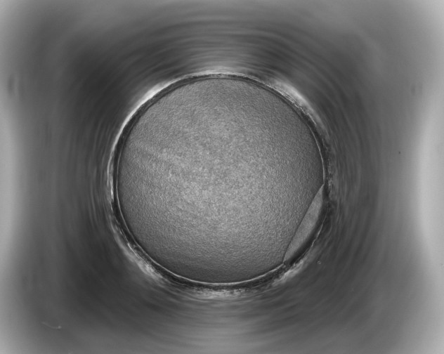 X0000086000892200704091035