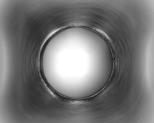 X0000086000894200704091035