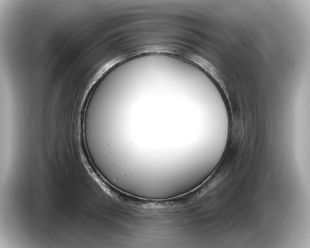 X0000086000898200704091035