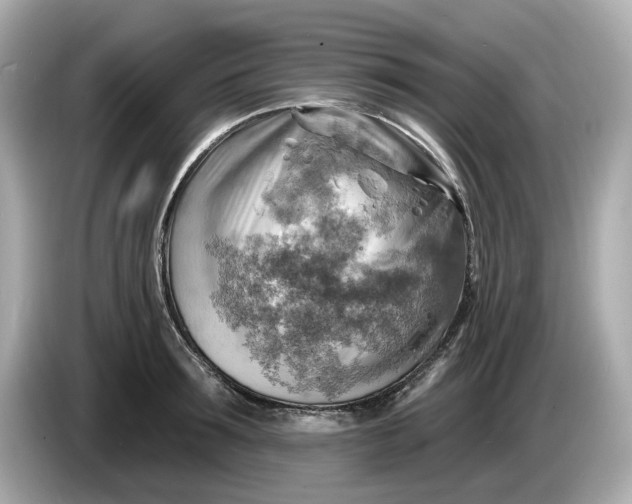 X0000086000899200704091035